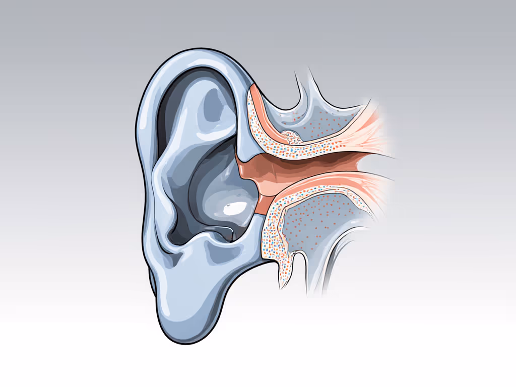 ear_canal_anatomy_diagram_showing_pressure_points_and_seal_zones