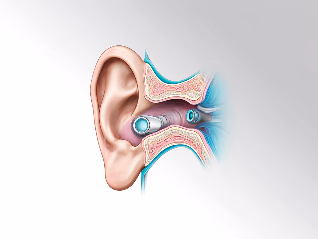 ear_canal_anatomy_showing_hearing_aid_and_earbud_placement