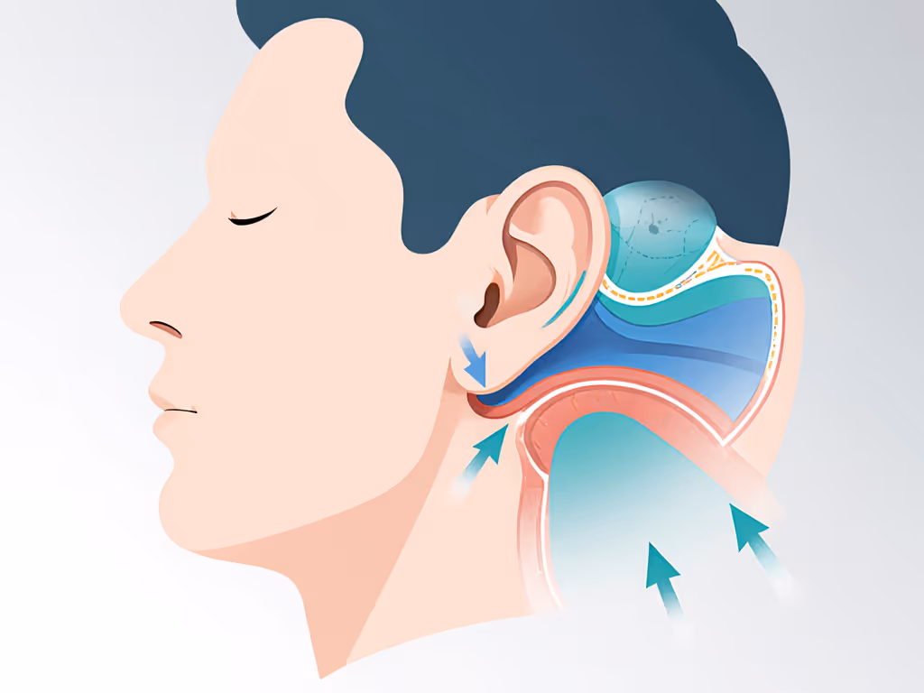 ear_anatomy_diagram_showing_pressure_points_for_side_sleepers